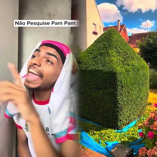 Não pesquise Pam Pam 1