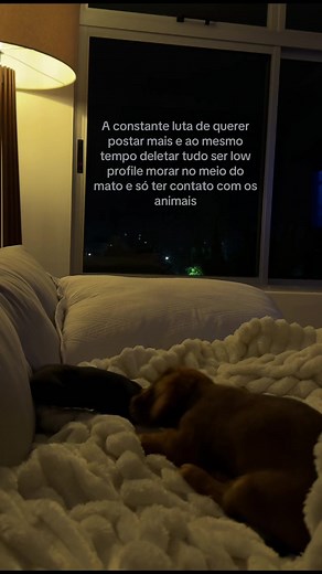 Como ser low profile nas redes e postar menos sobre animais