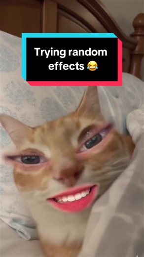 Random Things I Do: A Funny Take on Everyday Life