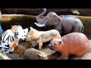 🐅 Learn & Play: Exciting Zoo Animal Facts & Toys for Kids!
