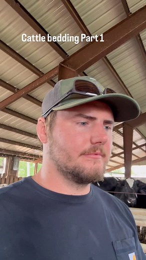 19 reactions | Another day in the life. Bedding down the cattle pens with straw today. Part 1 of 4. In this video series I show all the cattle pens before and after we bed them down as well as talking a little bit about our barn. #familyfarm #farmtotable #johndeere #ohio #farmlife #cattle | Elwer Land and Cattle | Facebook