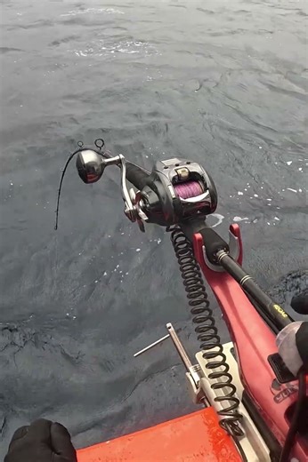 Paternoster Rig + Electric Reel = Deep Sea Action! | Andaman Sea, Khao Lak 🇹🇭 #fish #fishing