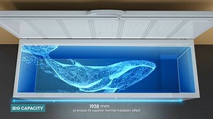 101 reactions · 46 shares | Hisense Chest Freezer Series | FC650D4BWB and FC900D4BWBP | Hisense | Facebook