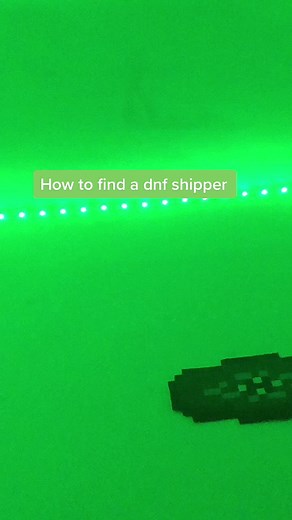 dream smp <3 on TikTok