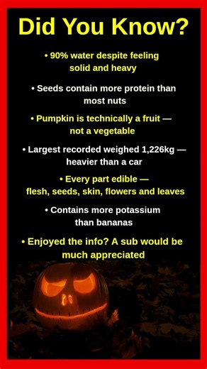 Shocking Facts About Pumpkins That Will Blow Your Mind 🎃😱