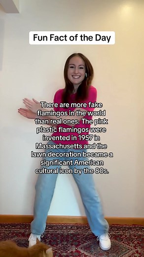 Pink Plastic Flamingos: Fun Facts and Meaning for Your Yard