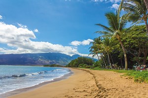 The Incredible Marine Life of Maui’s Turtle Town