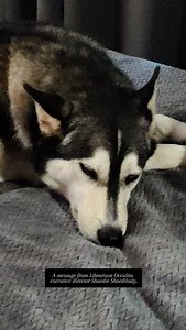 The Library of Secrets on Reels | Facebook