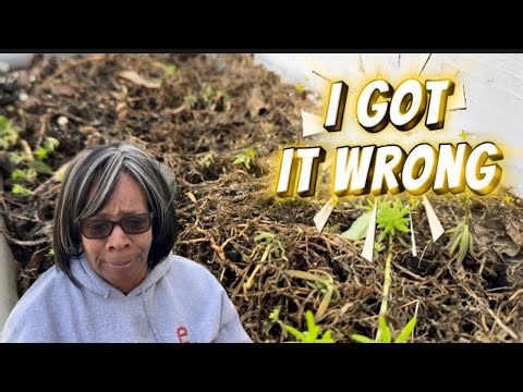 The Gardening Mistake I Made with My Containers that I Didn’t See Coming