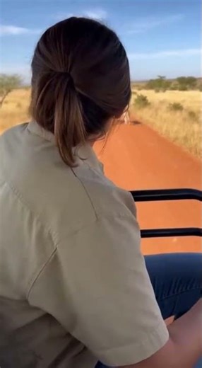 My Cat Jumped Out to Fight CHEETAHS?! 😱 #Shorts