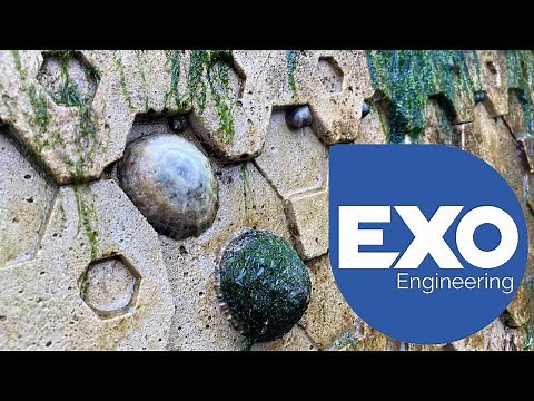Exo Engineering: Marine Eco-engineering