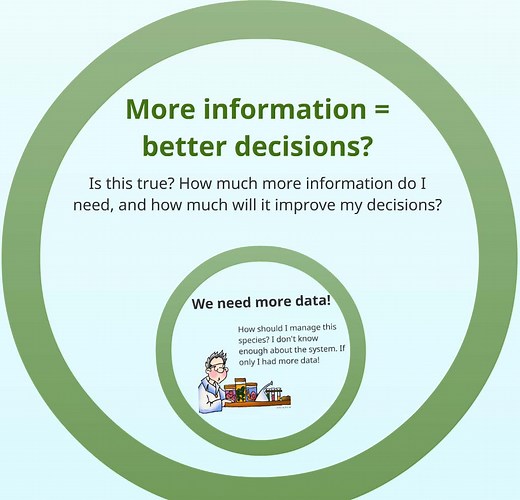 The Value of Information: Does More Data Mean Better Decisions?