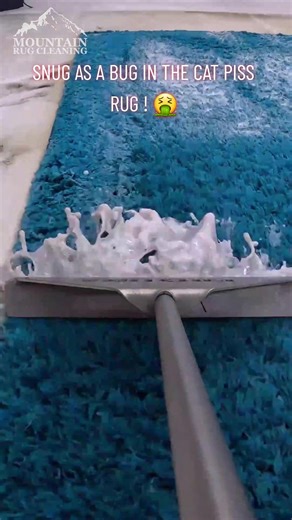 Cleaning Cat Pee Carpet - Satisfying Rug Washing ASMR