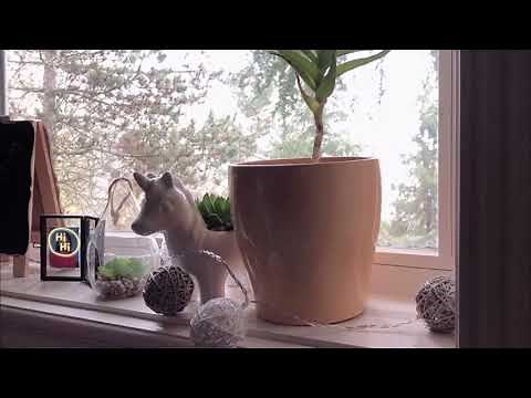 Ideas for CAS Projects