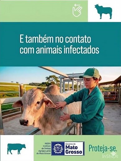 Maio mês da saúde Animal e brucelose