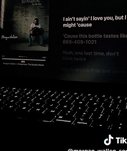 Morgan Wallen 865 Lyrics: A Deep Dive