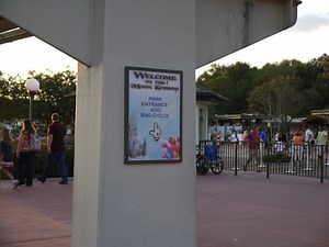 Now Open Magic Kingdom's New Bus Loop | Chip and Company