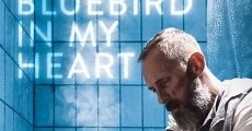 A Bluebird in My Heart (2018)  - Ver Película Completa en Español - FULLTV