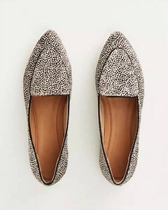 3 comments |  Add to Wishlist — Walk on the wild side with our Capture Amber Court Flat. We've just one question: Cheetah Print or Leopard Print? Tell us your favourite in the comments below! Explore our range of shoes at https://bit.ly/2I4hvQ1 on EZIBUY.COM. | EziBuy | Facebook