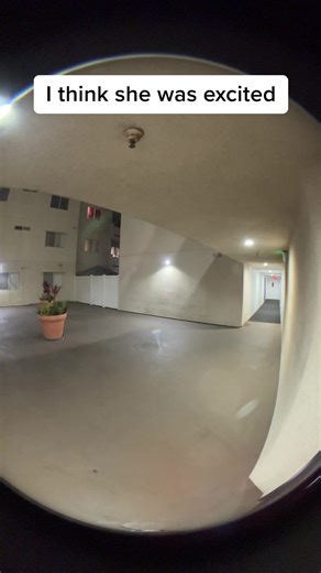 ¡Cheetos Cup de vuelta en ampm!