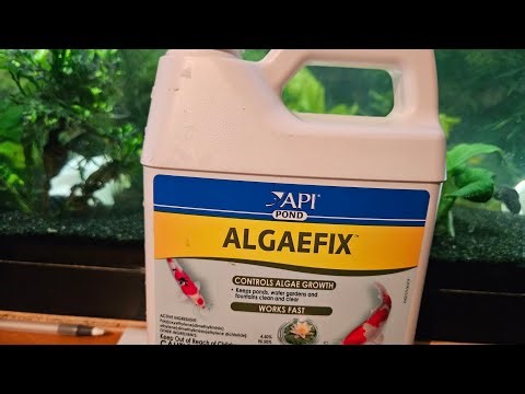 API Algaefix KILLED all my FISH! Do not MAKE my MISTAKE!