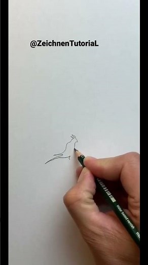 Zeichnen lernen für Anfänger Drawing for beginners Step-by-Step