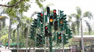 clip-4844747-traffic-lights-zoo