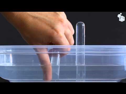 Vídeo experimento: Electrólisis del agua