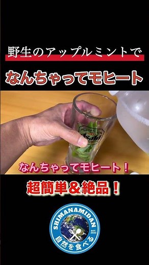 野生のアップルミントで簡単なんちゃってモヒートの作り方！#モヒート #ミント #アップルミント #お酒 #野草 #野草料理 #しまなみ団 #料理 #調理 #作ってみた