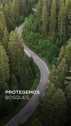 En International trabajamos por una movilidad más sostenible.