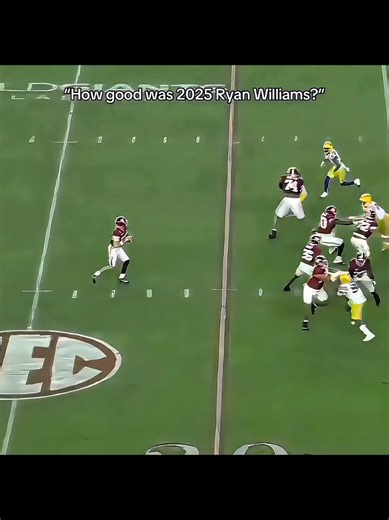 Ryan Williams: Rising Star in NFL Football