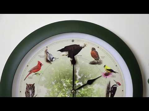 CY0292 BirdClock