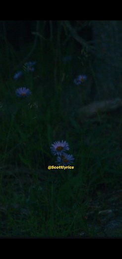 Biri Marung Mp3 Download: Focalistic & Scott's Remix