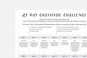 21 Day Gratitude Challenge PDF | Free Printable | Passion Planner