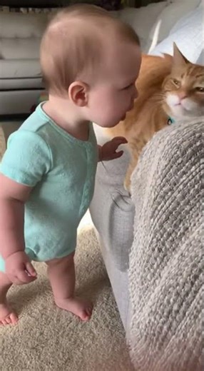 No Scatch da Coush, Kee-Kee! 😂