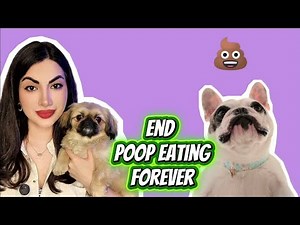 Why Your Dog Is Eating Poop (And How to Stop It Fast) 🐶💩 | Vet-Approved Fixes