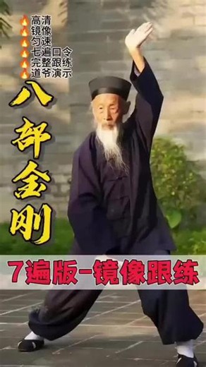 张至顺道爷的八部金刚功七遍镜像完整跟练版 #张至顺道长 #八部金刚功