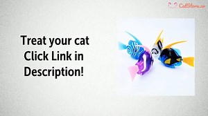 Cat vs. Robot Fish Do you think your call will enjoy this toy? Get yours here ⚡ catstore.co/products/fish-for-cats Get yours here ⚡ catstore.co/products/fish-for-cats Best toy for your cat in this summer.  Get one, have some fun with your cat | Cute Little Furballs | Facebook