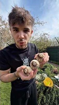 AM PRIMIT XREMUS PRO MODEL DE PASTE🥚🐇#shorts