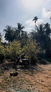 13K reactions · 49 shares | Phúc Hay Nghĩ nhìn thấy suy quá vậy ♥️ | Bảo Trân | Facebook