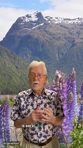 139K views · 845 reactions | Read more about fully funded master's programs and visa support in New Zealand  and gather valuable information on scholarships, academic paths, and how to study abroad without tuition costs. Learn more and begin your journey.  #StudyInNewZealand | Discover Education | Facebook