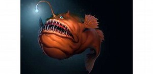 DEEP-SEA SEADEVIL VOTED ONE OF THE ‘UGLIEST’ FISH IN THE SEA