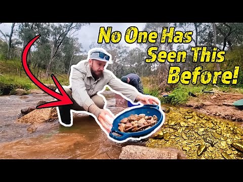 The Best Metal Detector for GOLD is NOT What You Think!
