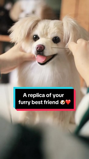 Cuddle Clones no TikTok