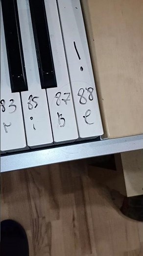 ALL 88 PIANO KEYS SOUNDS!!!!!! #PIANO