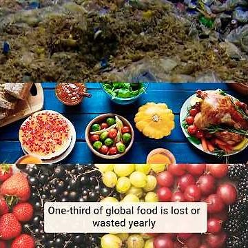 International Day of Awareness on Food Loss and Waste Reduction