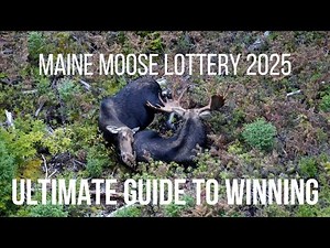 EP. 65- Maine Moose Lottery 2025: Ultimate Guide To Winning