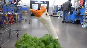 A Well-Dressed Pet Goose Shops for His Favorite Mustard Greens at a Local Walmart