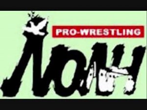 NOAH, Zero 1, AJPW, Dragon Gate, DDT Reviews