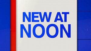 3.4K views · 45 reactions | Excluded workers marched in protest across the Manhattan and Brooklyn bridges on Tuesday, Derick Waller has the story. Meantime, high winds caused damage overnight. Candace McCowan has the details. | ABC7NY | Facebook